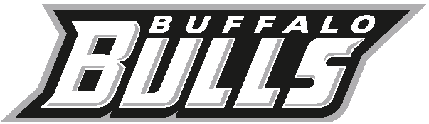 Buffalo Bulls 2007-Pres Wordmark Logo iron on transfers for clothing